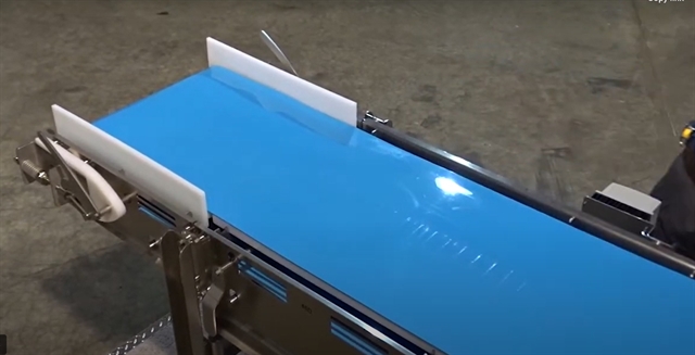 Sanitary Belt Conveyor by Nercon